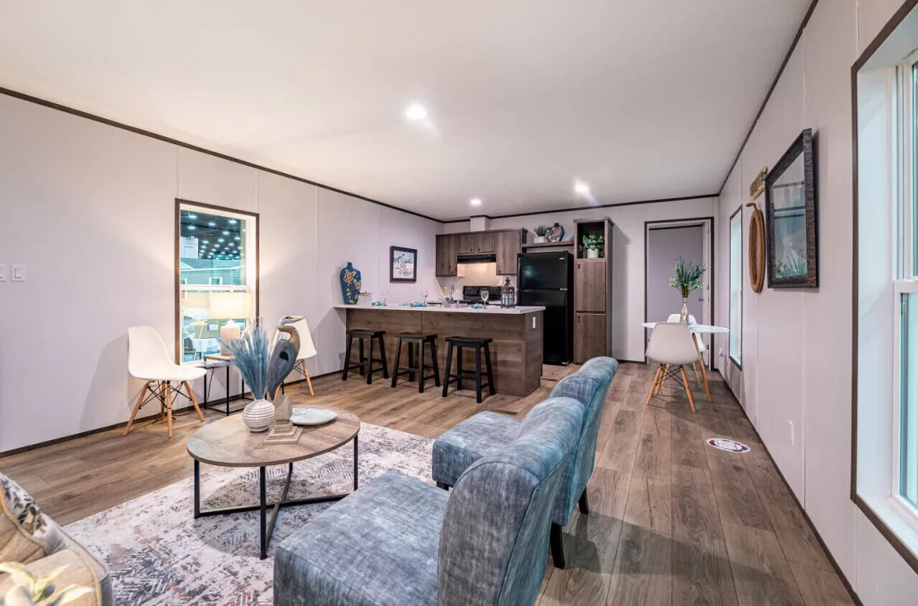 Living room kitchen overview
