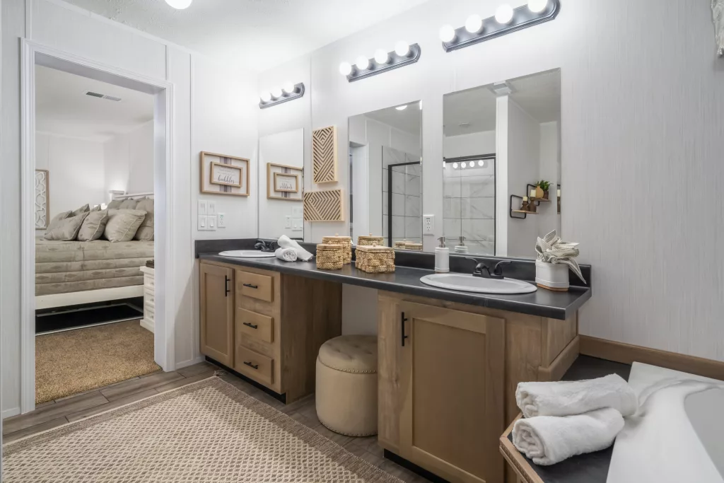 Master Bathroom Vanity
